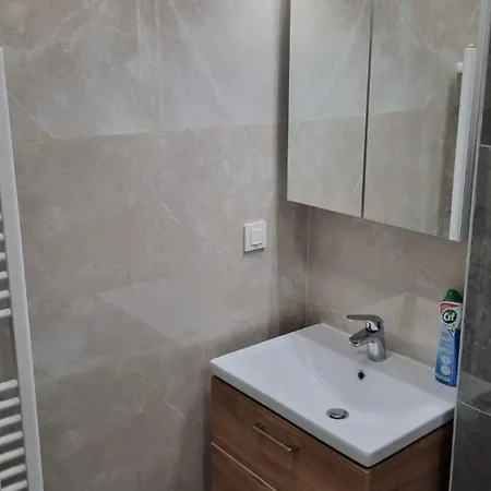 Апартаменти Large Coresi Apartment, *