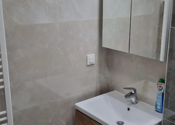 Apartamento Large Coresi Apartment, *