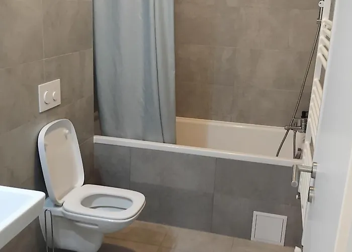 Apartamento Large Coresi Apartment,